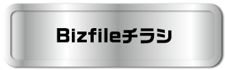 Bizfileチラシ